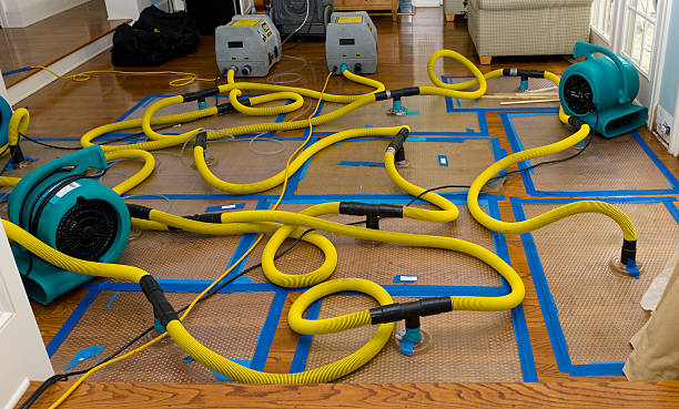 Professional Water Extraction technician working in Morris Chapel, TN